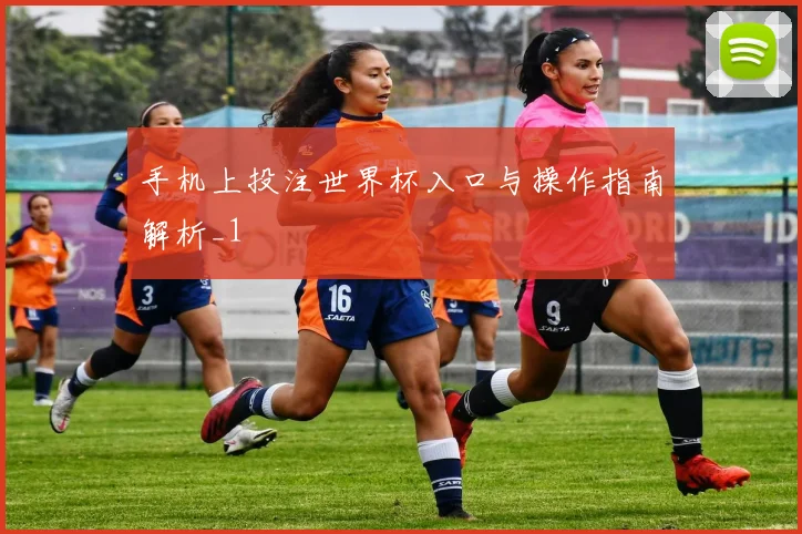 手机上投注世界杯入口与操作指南解析_1
